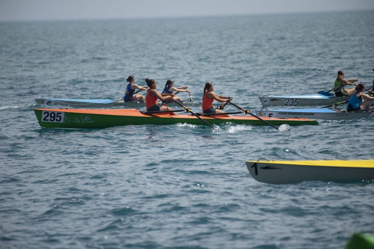 regata remo755