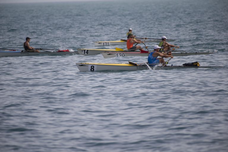 regata remo811